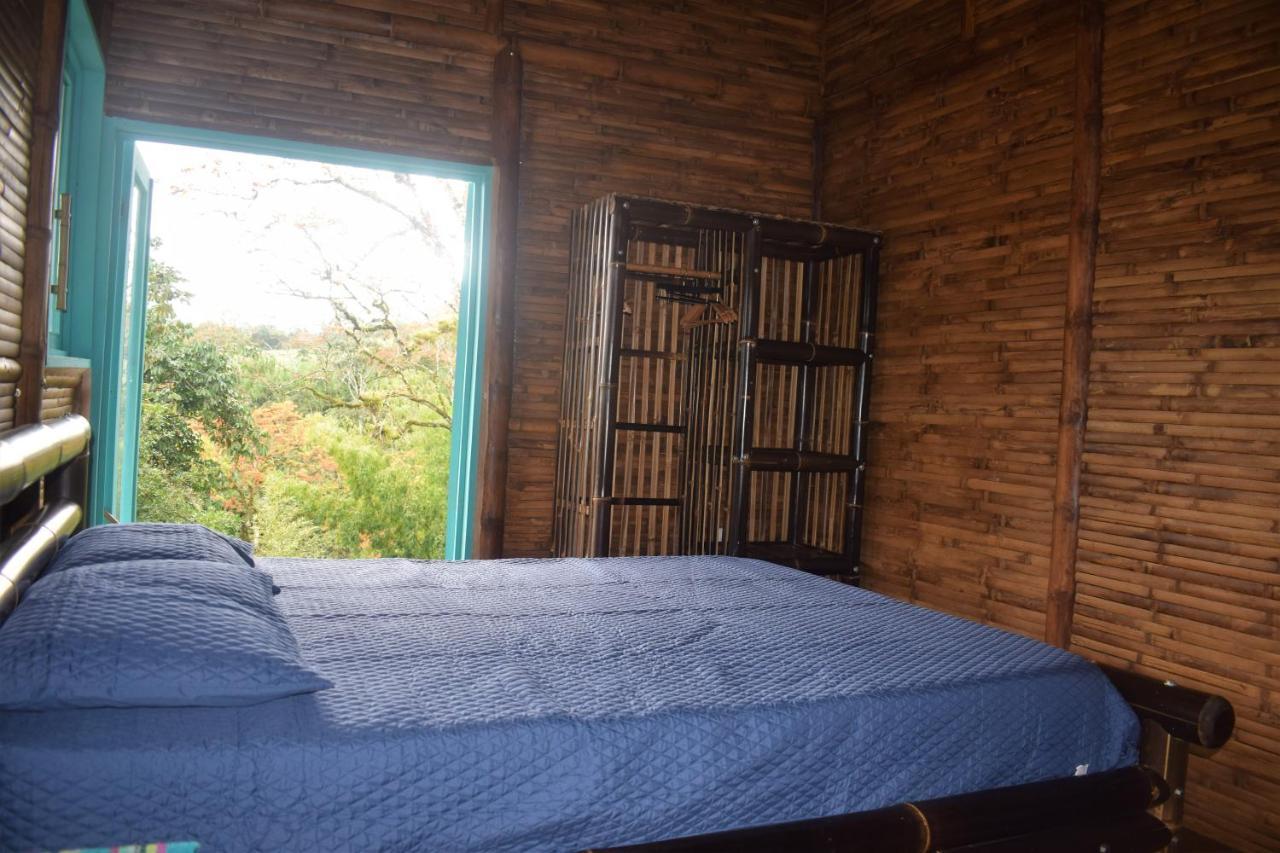 Willa Casa De Bambu Turrialba Zewnętrze zdjęcie
