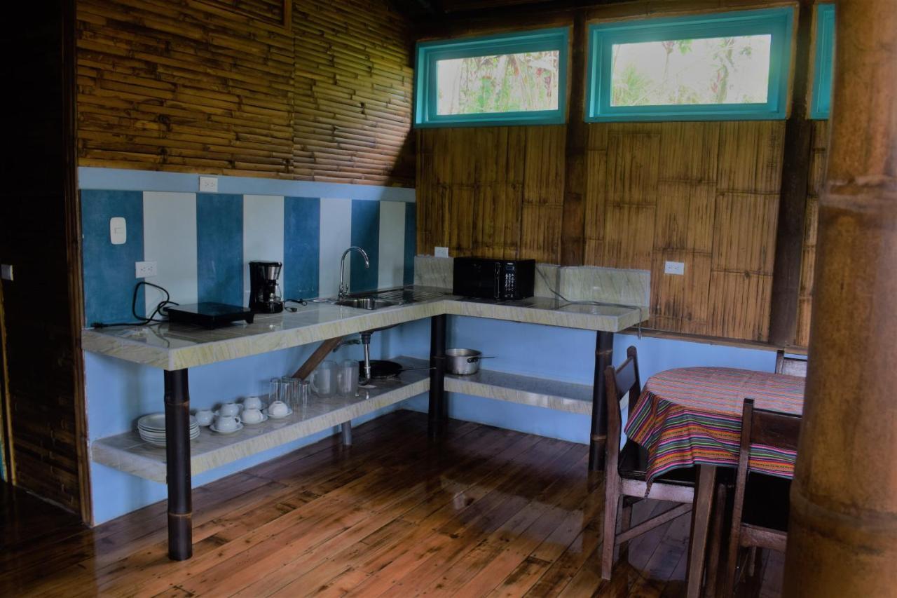 Willa Casa De Bambu Turrialba Zewnętrze zdjęcie